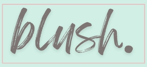 Blush Beauty Logo, text: Blush with a box outline.